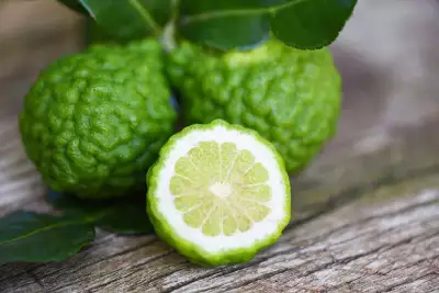 Citrus bergamot, a powerful antioxidant which reduces inflammation and improves blood sugar levels