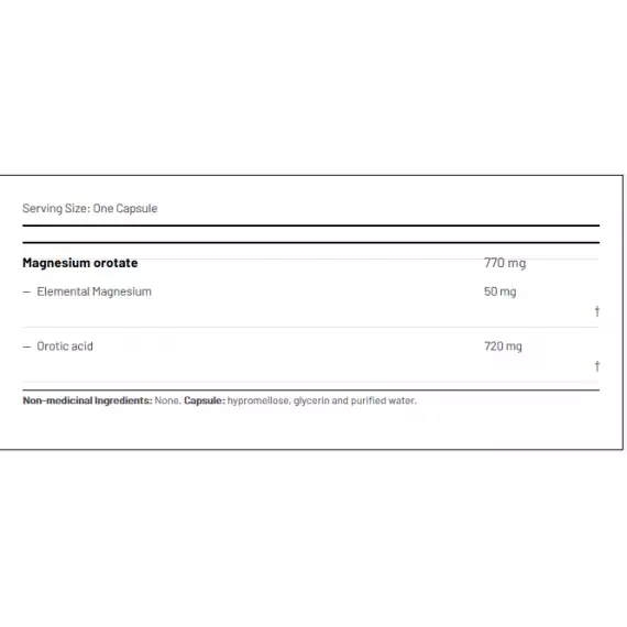 Cardio Mag 2.0 120 capsules - magnesium orotate | AOR