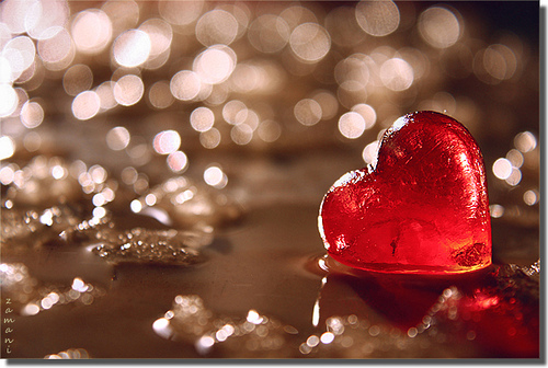 Waarom kokosolie weer in de ban wordt gedaan door de Amerikaanse Hartstichting en waarom je dat advies NIET serieus moet nemen