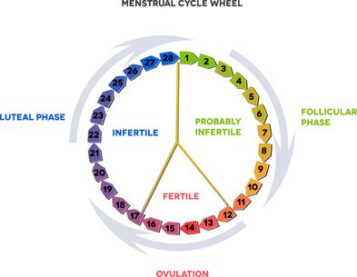 Taking Charge of Your Fertility or how to prevent pregnancy naturally