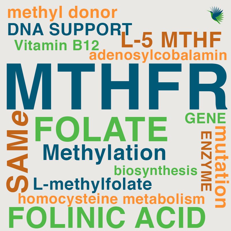 Why you should combine B12 with Biofolate