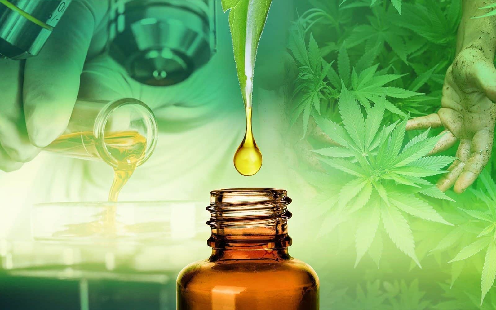 Wat is CBD-olie en hoe werkt het precies?