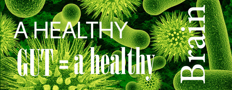 A healthy gut, a healthy brain. The gut-brain axis: on the relation between microbial life in our gut and our brain