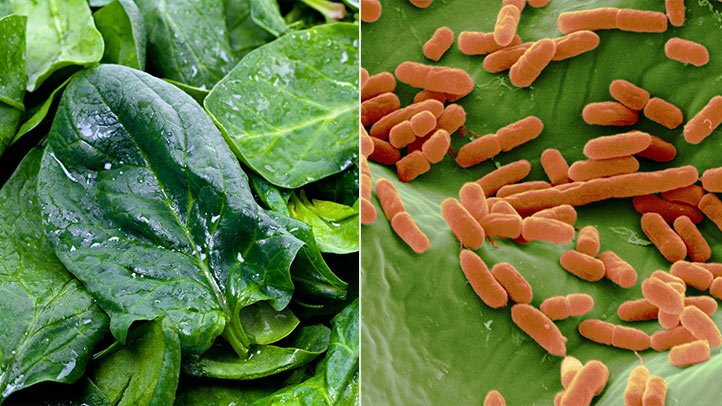 Food poisoning: how do we get it, what are the symptoms and how should we treat it?