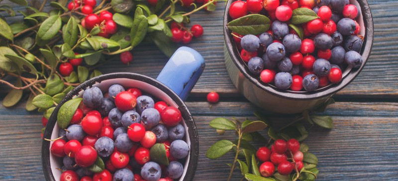 Leptin, leptin resistance and SIRT1: influence of resveratrol