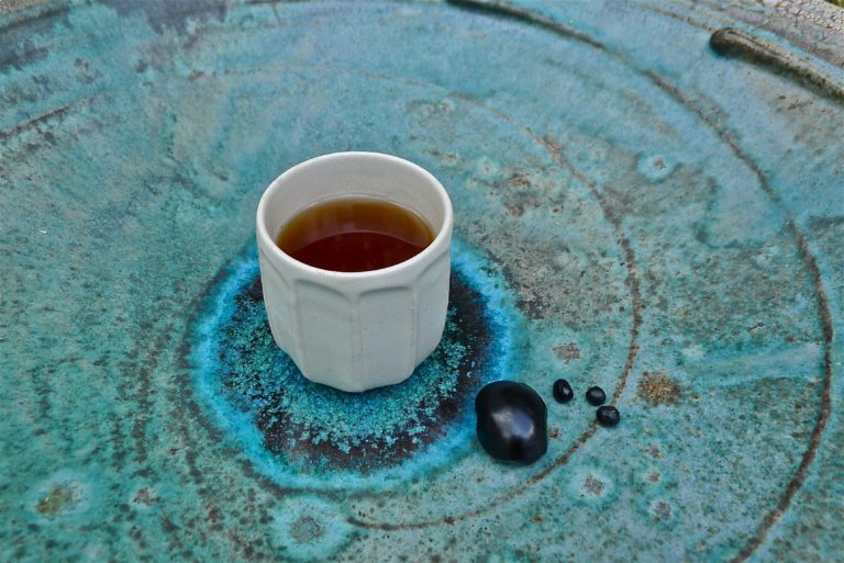 Shilajit, an ayurvedic healing organo-mineral: properties and health benefits