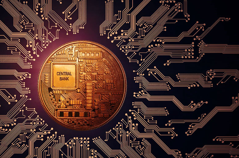 Is the euro dying? On the introduction of the digital euro or CBDC