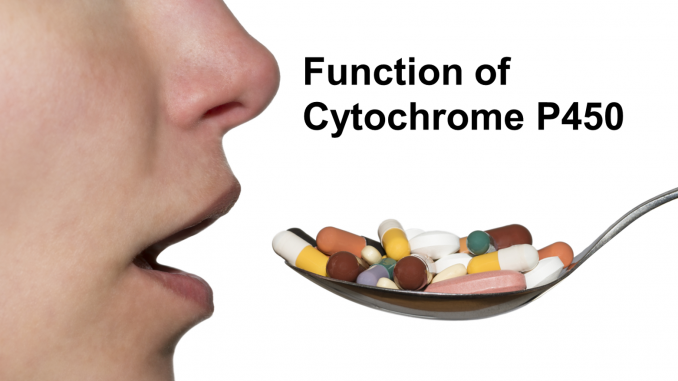 Are you a fast or slow drug metabolizer? Tailor-made drugs thanks to your genetic profile