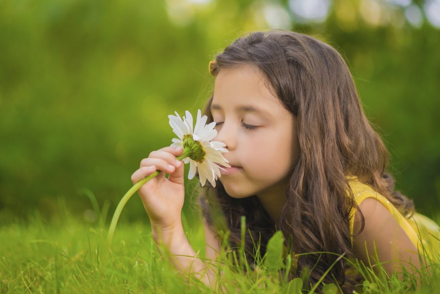On anosmia, the loss of your sense of smell and how to regain the sense of smell naturally