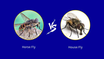 Biting insects, what causes them to be attracted to you and what can you do to repel them?