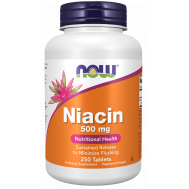 B3 -  Niacin 500mg 250 sustained-release tablets for energy production | NOW