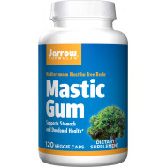 Mastic Gum 500mg 120 capsules value-size - Pistacia lentiscus | Jarrow Formulas