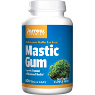 Mastic Gum 500mg 60 capsules kleinverpakking - mastiek van Pistacia lentiscus | Jarrow Formulas