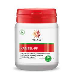 Kaneel-PF 60 capsules met Cinnulin PF®, ondersteunt het behoud van een normale bloedsuikerspiegel | Vitals