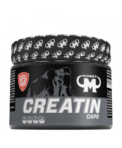 Creatine 240 capsules - creatine monohydrate | Mammut Nutrition