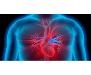 Myocarditis: what is it, who is at risk and how is it recognized?