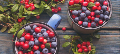 Leptine, leptine-resistentie en SIRT