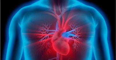 Myocarditis: what is it, who is at risk and how is it recognized?