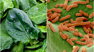 Food poisoning: how do we get it, what are the symptoms and how should we treat it?