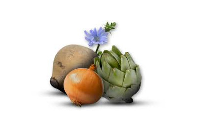 Separating chaff from the wheat or the importance of indigestible fiber