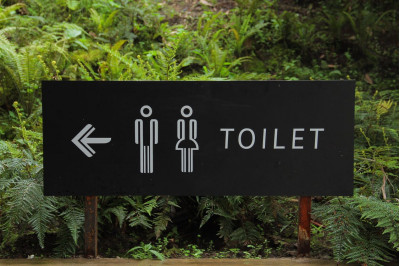 What causes diarrhea?
