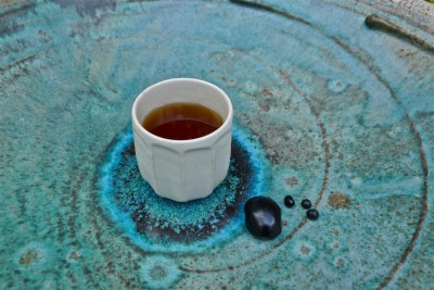 Shilajit, an ayurvedic healing organo-mineral: properties and health benefits