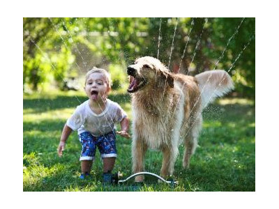 Hoe huisdieren uw gezondheid verbeteren