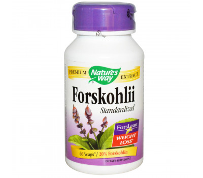 Forskohlii standardized extract 60 caps - forskoline | Nature's Way
