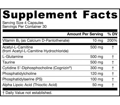 Neuro Optimizer 120 capsules - citicoline, phosphatidylserine, phosphatidylcholine, acetyl-L-carnitine, taurine | Jarrow Formulas