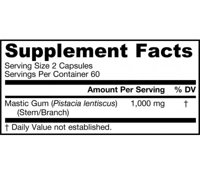 Mastic Gum 500mg 120 capsules grootverpakking - mastiek van Pistacia lentiscus | Jarrow Formulas