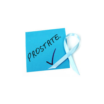A healthy prostate