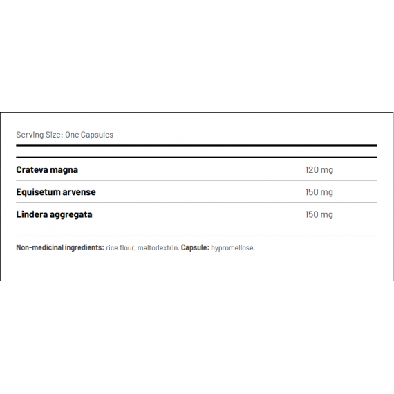 Bladder Manager 60 capsules with Urox™ helps to relieve urinary incontinence | AOR