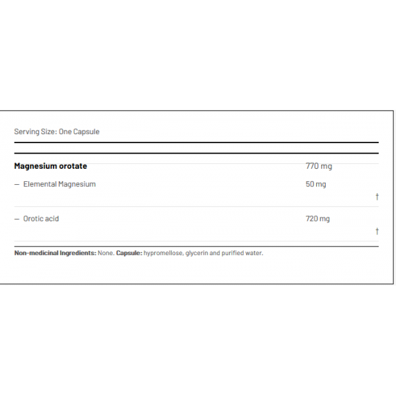 Cardio Mag 2.0 120 capsules - magnesiumorotaatcomplex | AOR