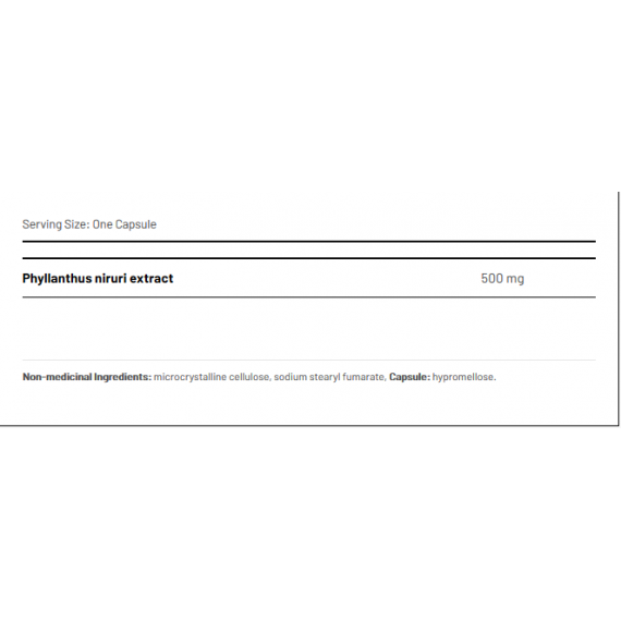 Chanca Piedra 90 capsules - Phyllanthis niruri steenbreker, verwijdt urinewegen | AOR