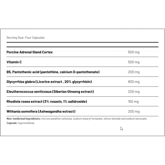 Ortho Adapt 120 capsules - adrenal gland, vitamins, licorice root, ashwagandha, Siberian ginseng, and rhodiola | AOR