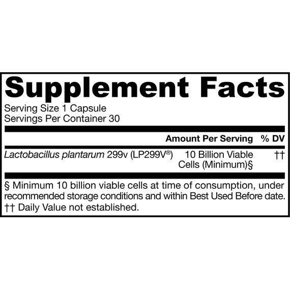 Ideal Bowel Support 10 billion 30 capsules - Lactobacillus plantarum protects from bloating and bowel discomfort | Jarrow Formulas